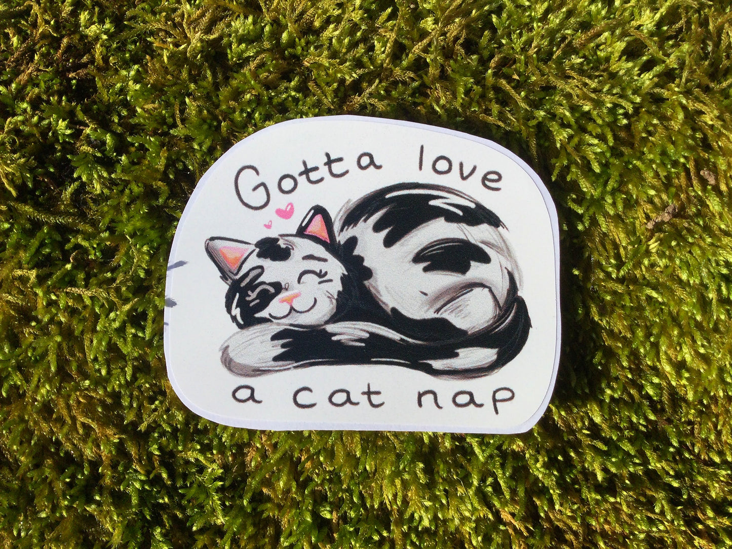 Cat Nap - Vinyl sticker